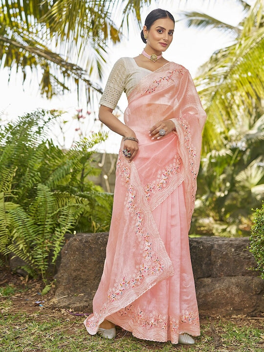 Satrani Embroidered Organza Saree